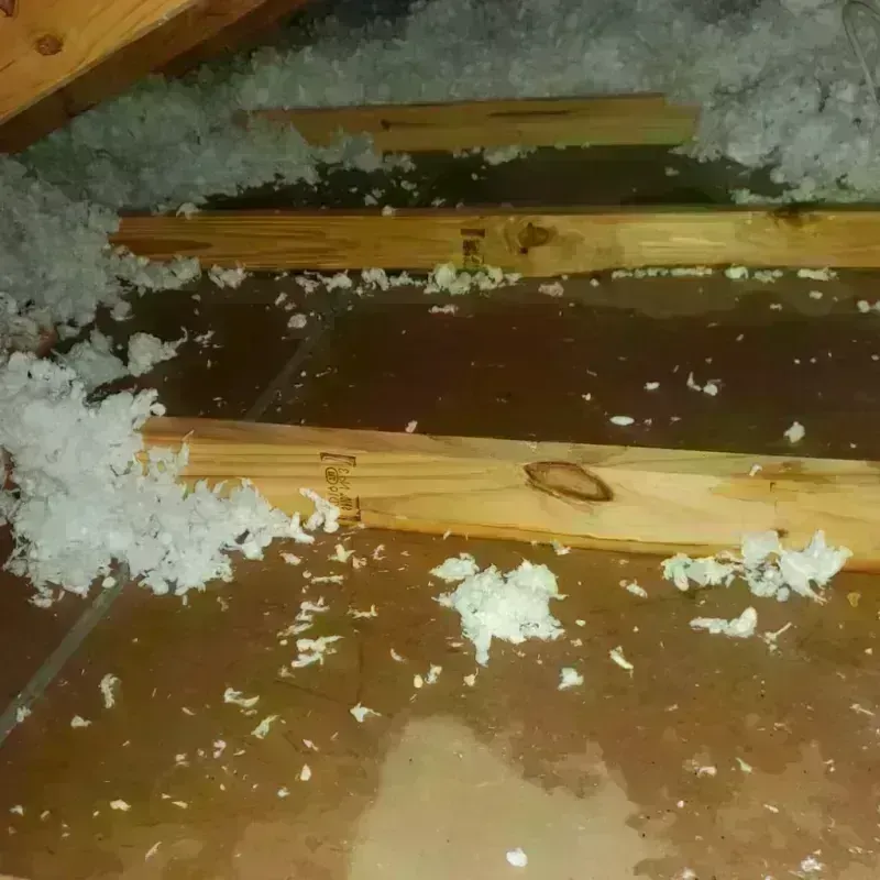 Attic Water Damage in Union County, IL